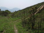 山路落至坳位, 右上禾徑山, 左可接回石屎軍路
P3110196