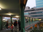 天橋去上水廣場, 穿新都廣場, 入上水中心海港酒樓晚飯
P3110353