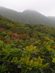 沿衛徑落山途中左望紫羅蘭山
P3160229