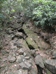 若沿3號澗繼續上應可至長連山
P3160362