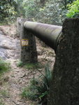 經17號澗口, 可以上水管頂過, 或可以下面過
P3160438