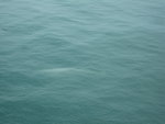 IMG_1456