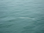 IMG_1457
