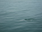 IMG_1458