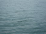 IMG_1459