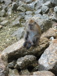 IMG_1492