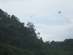 IMG_1500