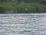 IMG_1504