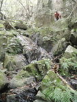下降刀刃南坑(又林村坑或塘面坑)
P3180355