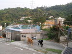 經石屋仔村
P3180445