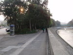 至河邊, 回望來路及今天早上過林村河的靚靚橋
P3180451