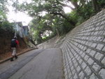漢家路
P3180456