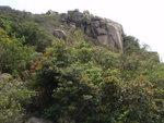 P3230179