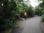 至夏力道/盧吉道公園轉入克頓道, 再轉入龍虎山健身徑
P4040111