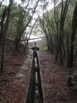 回望馬路
P4200074