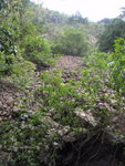 P4200101