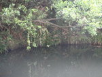 P4200227