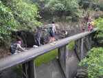 P4200319
