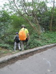 轉左入小路
P4200340