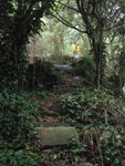 P4200344