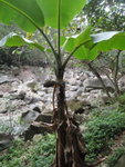 原來小徑落至曹公潭旁
P4200353