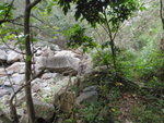 轉右沿小路前行
P4200355