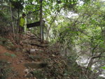 P4200356