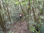 見山路
P4220122