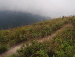 抵山脊, 若轉右可沿西脊落馬灣新村或低埔新村
P4220124