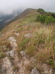 右望西脊及東涌市
P4220126