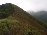 過南脊要先上這個頂才有分岔路
P4220130