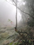 下降婆髻北坑
P4220307