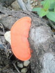 P4220315