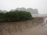 P1020782
