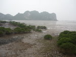 P1020784