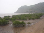 P1020786