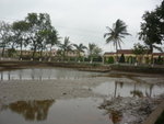 P1020790