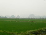 P1020799
