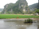 P1020831