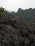 P1020848
