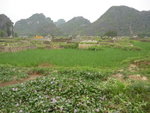 P1020861