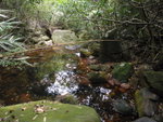 P4270105
