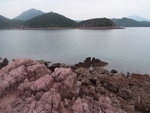 轉個大彎便見北海篤及在山上看似隻鴨頭的長排頭
P4270140
