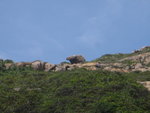 白沙灣中抬頭望可見在斜炮頂的犀牛石, 這個角度看是大象石
P5250043