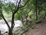 中途轉左接山路
P6010064