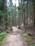 IMG_0146a