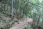 登山路初頗平緩及之字形而上
IMG_0156