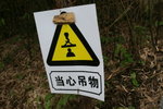 "當心吊物", 因為正在施工起石級路, 有鋼索吊材料上山會經登山路所以要"當心吊物"
IMG_0166