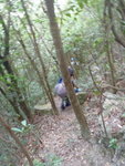 中途轉右後無耐接林中棧道
P7080498