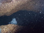 第一個洞口, 水中有人哩, 原來呀堅由洞口入番來, 利會
P7130188